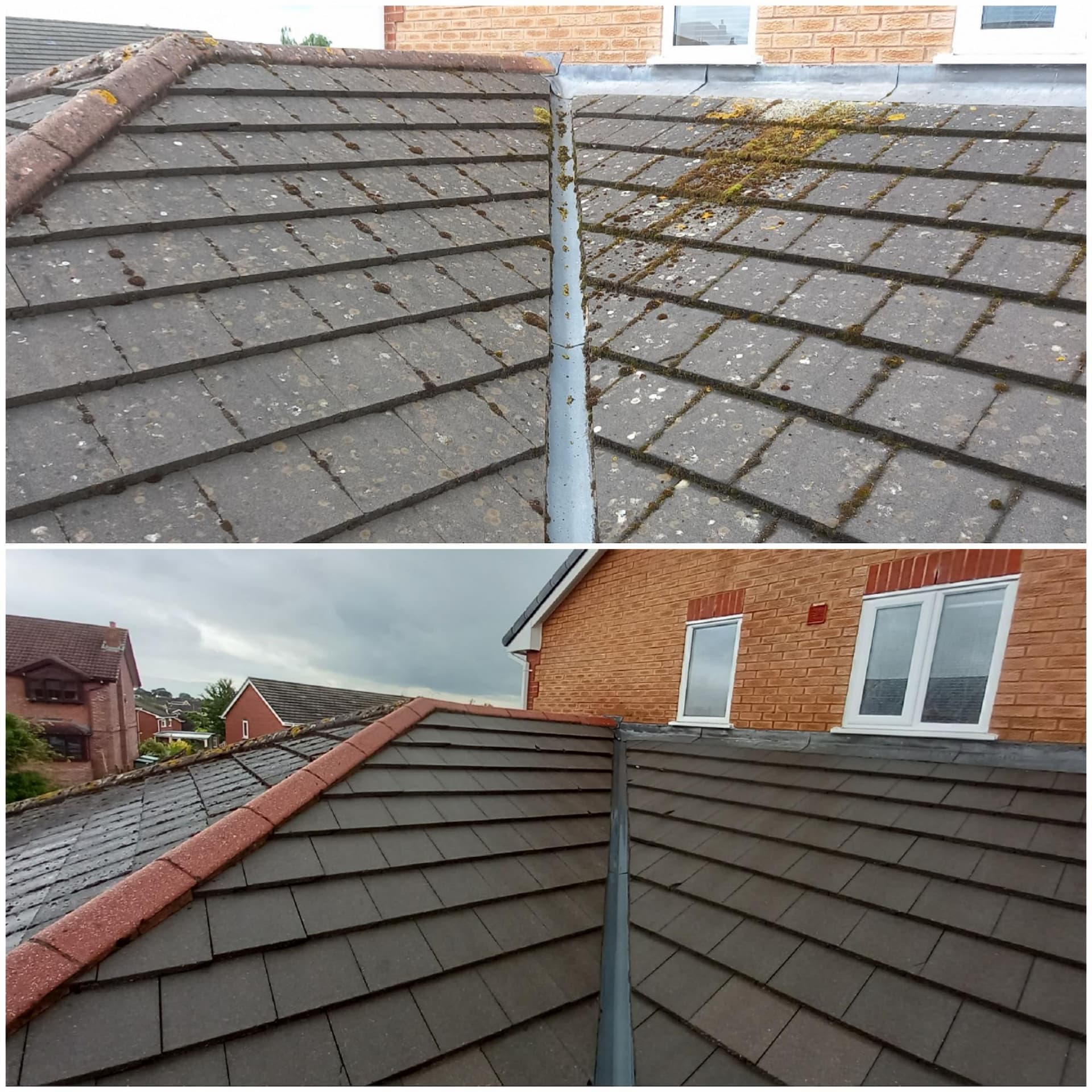 Full Property Roof Clean & Treatment 